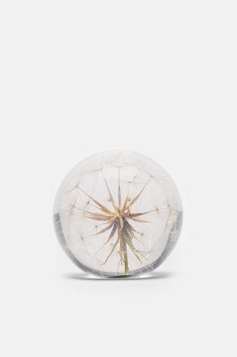 Hafod Grange — Paperweight   Goat's Beard   Large — THE LINE