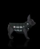 Moncler MONDOG in Dogwear for Unisex | Official Online Store