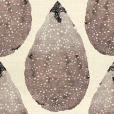 Fan Coral Dark Grey - Hable Construction