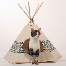 Cat Nip | Cat Tipi