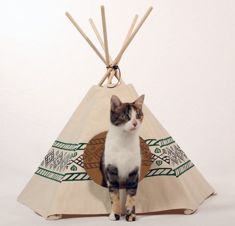 Cat Nip | Cat Tipi