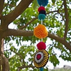 Amazon.com: Pompom Garland Multicolored X 3
