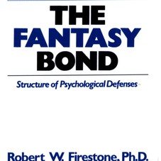 The Fantasy Bond : Structure of Psychological Defenses: Robert W. Firestone, R. D. Laing: 9780967668406: Amazon.com: Books