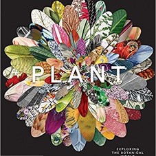 Amazon.com: Plant: Exploring the Botanical World (9780714871486): Phaidon Editors: Books