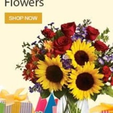Buy You Are Perfect Flowers Online in India - Flowers N Fruits 