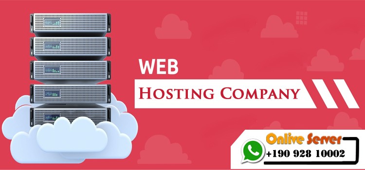 Onlive Server Web Hosting Company