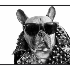 KING KOOPA | Mayor B.