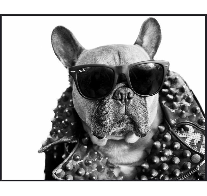 KING KOOPA | Mayor B.