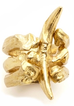 Species by the Thousands  : SHOP