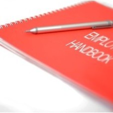 Are You Looking to have an Employment Contract? | My KW Law Business