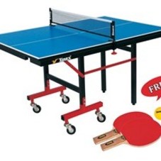 Buy Vinex TT Table Mini Champion online for young kids India