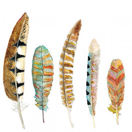 Feather Print III - Furbish