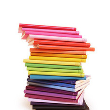 Kate's Paperie : Shop : Paperthinks Recycled Leather Notebooks, Slim, Lined Pages : E0001762 :