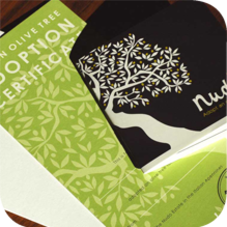 Nudo – What is Nudo?