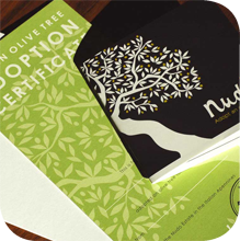 Nudo – What is Nudo?