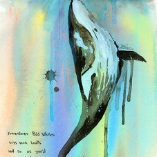 Whalelala | Eyes On Walls