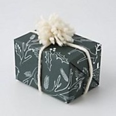 Good Tidings Wrapping Paper, Pine - Anthropologie.com