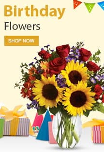 Buy Honeymoon Special Flowers Online in India - Flowers N Fruits 