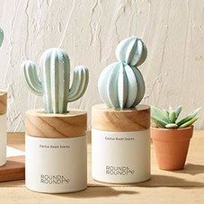 Amazon.com: ROUND A’ROUND] Cactus Room Scents 100ml / Gypsum Reed Fragrance Diffuser Fragrant Homes, Rooms, Office, Bathroom, Living room (B