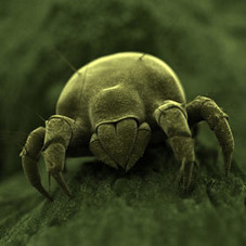 Changed your mattress recently? - Kids Funtime Beds