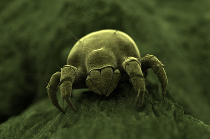 Changed your mattress recently? - Kids Funtime Beds