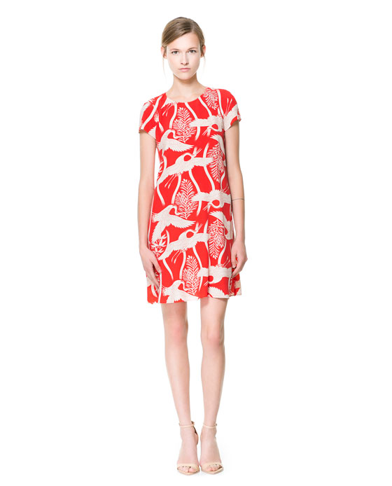 BIRD PRINT DRESS - Dresses - Woman | ZARA United States