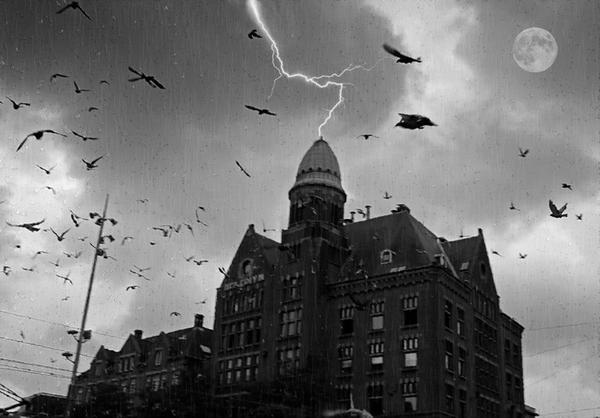 How to Plan a Historical Spooky Amsterdam Tour?