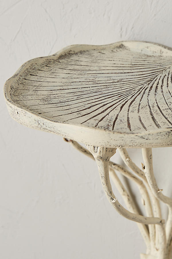 Seed Pod Shelf | Anthropologie