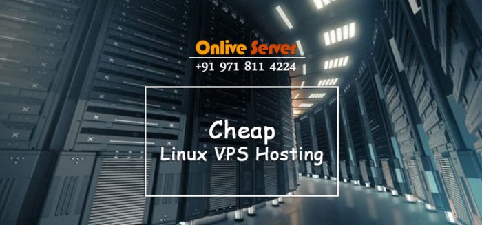 Cheap Linux VPS - Onlive Server Cheap Linux VPS - Onlive Server