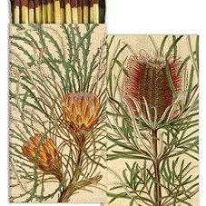 Amazon.com : HomArt Protea Match Box : Sports & Outdoors