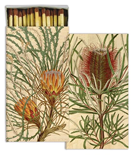Amazon.com : HomArt Protea Match Box : Sports & Outdoors