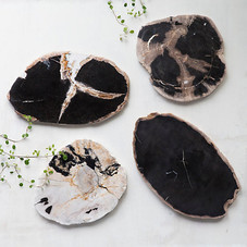 Petrified Wood Serving Board in  House + Home Serving at Terrain