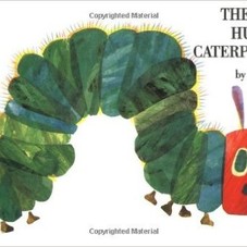 Amazon.com: The Very Hungry Caterpillar (9780399226908): Eric Carle: Books