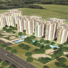 Anant Raj Madelia | Anant Raj Madelia