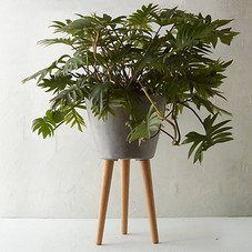 Tapered Wooden Leg Pot in  Garden All-Weather at Terrain