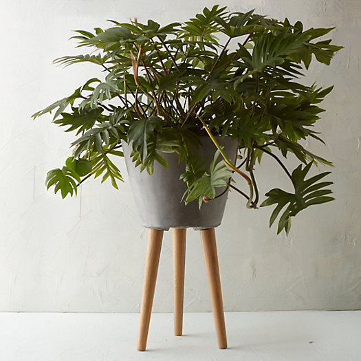 Tapered Wooden Leg Pot in  Garden All-Weather at Terrain