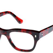 0772 Red Turtle - Cutler and Gross