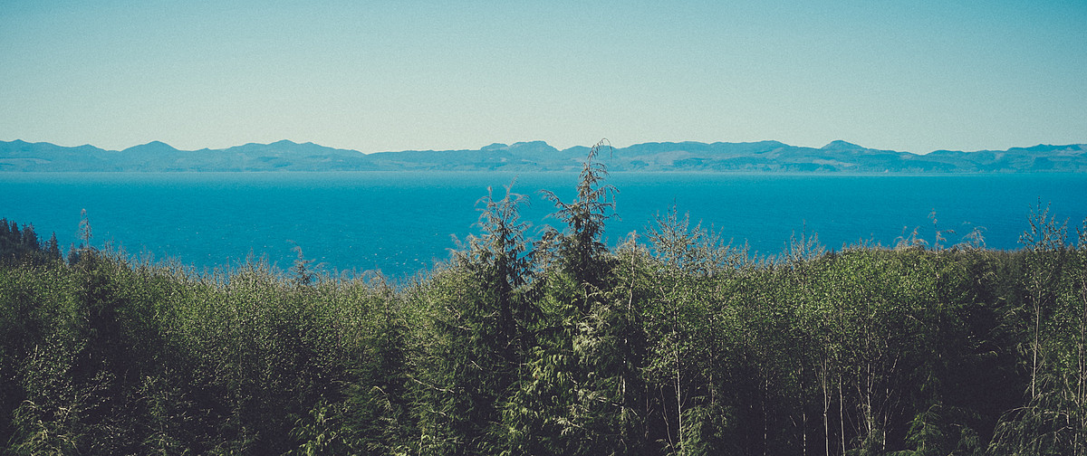 Experience Slows You Down — Design/UX — Medium