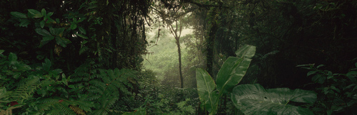 20x200 | Affordable Art Prints