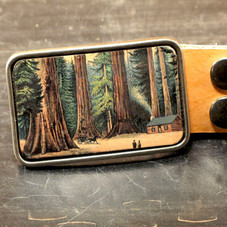 Redwoods tree leather belt buckle by flightpathdesigns on Etsy