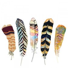 Feather Print I - Furbish