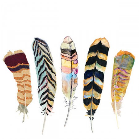Feather Print I - Furbish