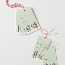 Rudolph Gift Tags  - Anthropologie.com