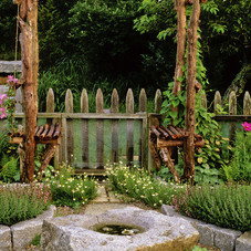 Garden Photos (585 of 649) - Lonny