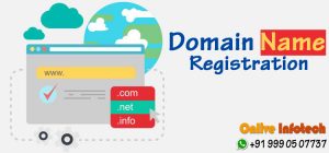 Onlive Infotech offer Domain Registration and Web Hosting Services