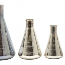 Mercury Glass Flasks - Tabletop - Accessories  | Jayson Home