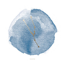 Taurus Foil-Stamped Wall Art by annie clark | Minted