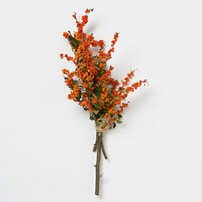Fresh Orange Winterberry Bunch in  Holiday Holiday Décor Seasonal Greens at Terrain