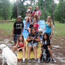 Advices for Taking Your Dog in the Car on Summer Vacation