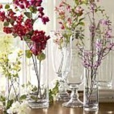 Aegean Clear Glass Vases | Pottery Barn